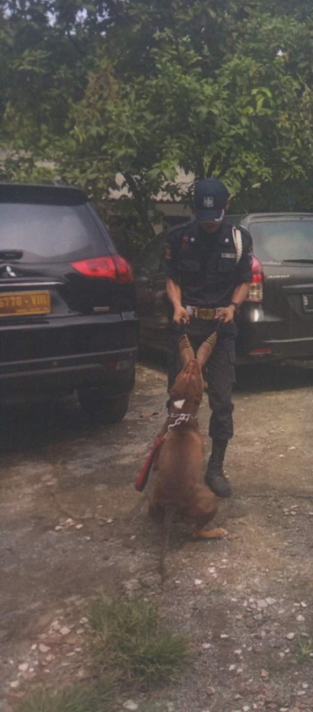 Personel PT MCB berpatroli dengan anjing pelacak